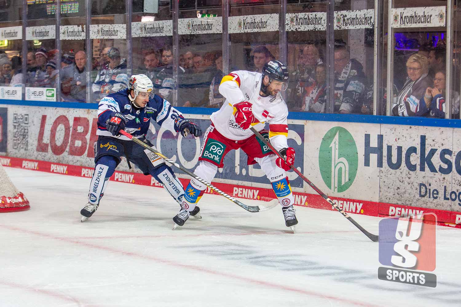 Iserlohn Roosters gegen Düsseldorfer EG am 30.12.2024