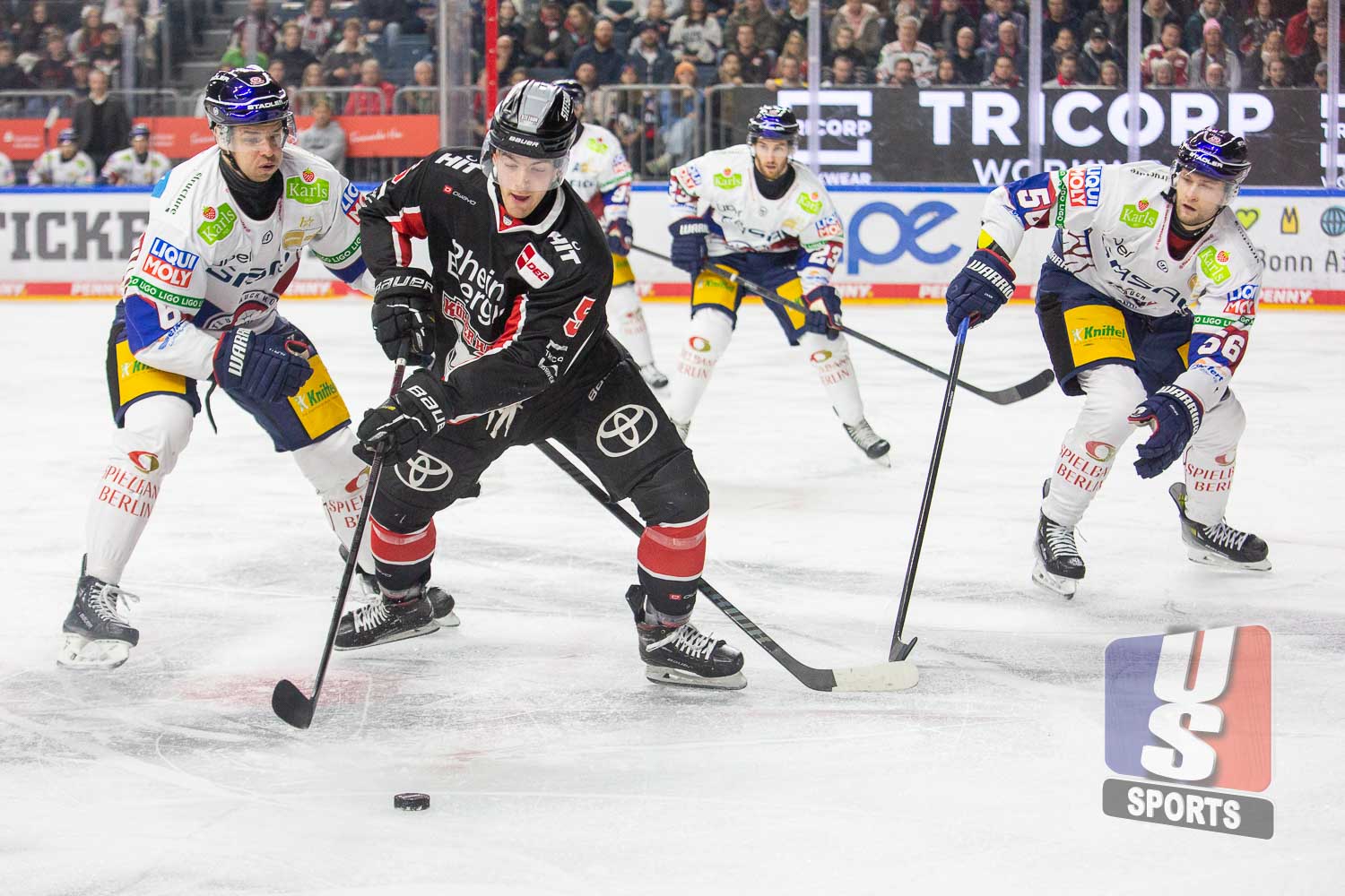 Kölner Haie gegen Eisbären Berlin am 7.1.2025